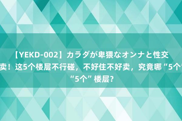 【YEKD-002】カラダが卑猥なオンナと性交 屋子买卖！这5个楼层不行碰，不好住不好卖，究竟哪“5个”楼层？