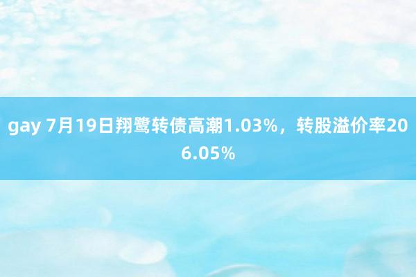 gay 7月19日翔鹭转债高潮1.03%，转股溢价率206.05%