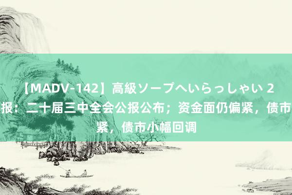 【MADV-142】高級ソープへいらっしゃい 25 债市早报：二十届三中全会公报公布；资金面仍偏紧，债市小幅回调