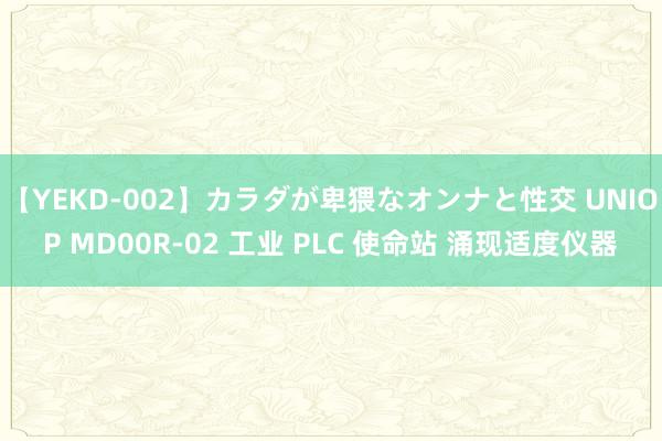 【YEKD-002】カラダが卑猥なオンナと性交 UNIOP MD00R-02 工业 PLC 使命站 涌现适度仪器