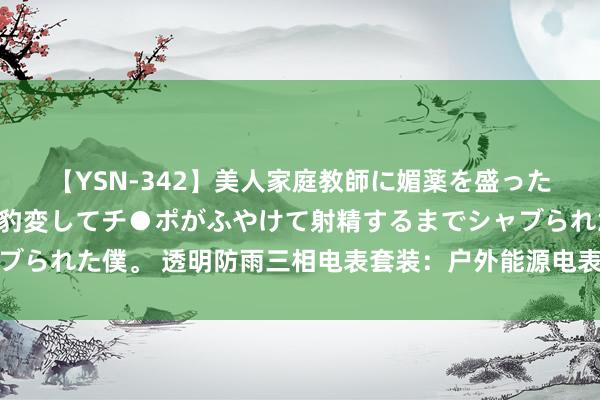 【YSN-342】美人家庭教師に媚薬を盛ったら、ドすけべぇ先生に豹変してチ●ポがふやけて射精するまでシャブられた僕。 透明防雨三相电表套装：户外能源电表箱的高精度看管者