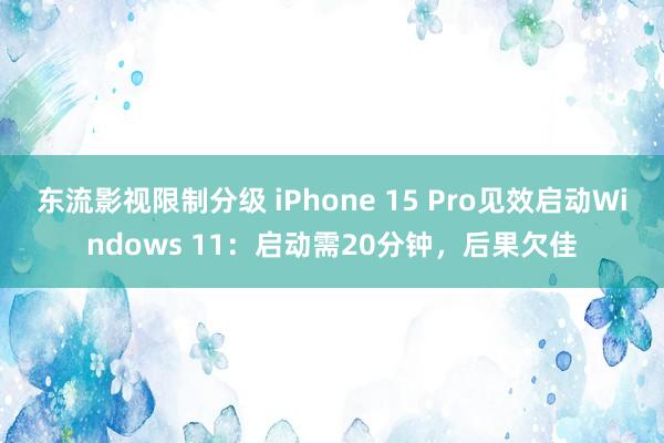 东流影视限制分级 iPhone 15 Pro见效启动Windows 11：启动需20分钟，后果欠佳