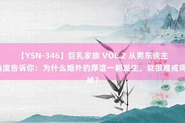 【YSN-346】巨乳家族 VOL.2 从男东谈主的角度告诉你：为什么婚外的厚谊一朝发生，就很难戒得掉？