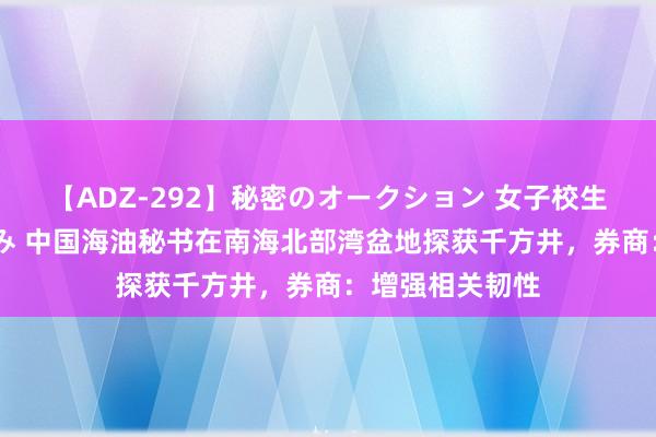 【ADZ-292】秘密のオークション 女子校生売ります なつみ 中国海油秘书在南海北部湾盆地探获千方井，券商：增强相关韧性