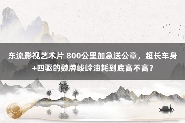 东流影视艺术片 800公里加急送公章，超长车身+四驱的魏牌峻岭油耗到底高不高？