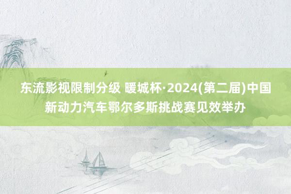 东流影视限制分级 暖城杯·2024(第二届)中国新动力汽车鄂尔多斯挑战赛见效举办