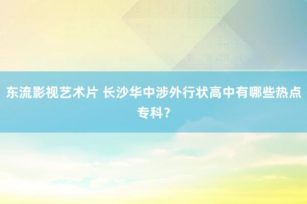 东流影视艺术片 长沙华中涉外行状高中有哪些热点专科？