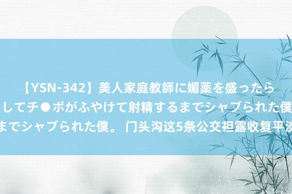 【YSN-342】美人家庭教師に媚薬を盛ったら、ドすけべぇ先生に豹変してチ●ポがふやけて射精するまでシャブられた僕。 门头沟这5条公交袒露收复平淡运营