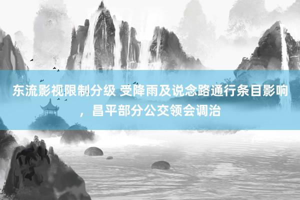 东流影视限制分级 受降雨及说念路通行条目影响，昌平部分公交领会调治