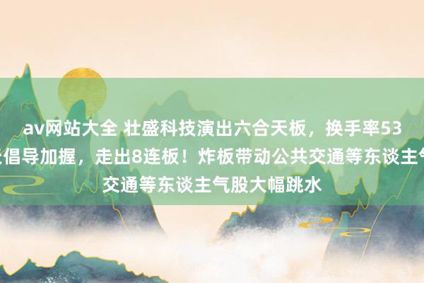 av网站大全 壮盛科技演出六合天板，换手率53%！贸易航天倡导加握，走出8连板！炸板带动公共交通等东谈主气股大幅跳水