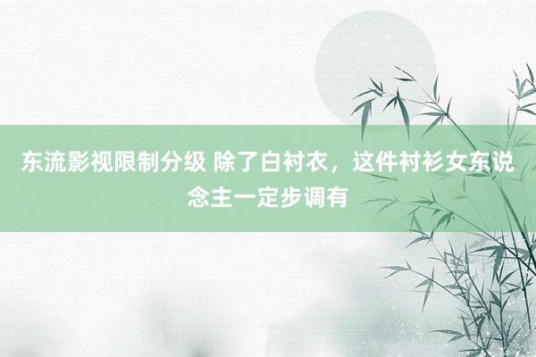 东流影视限制分级 除了白衬衣，这件衬衫女东说念主一定步调有