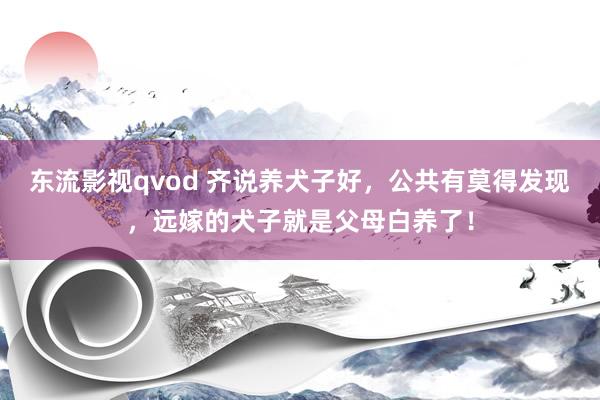 东流影视qvod 齐说养犬子好，公共有莫得发现，远嫁的犬子就是父母白养了！