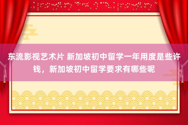 东流影视艺术片 新加坡初中留学一年用度是些许钱，新加坡初中留学要求有哪些呢