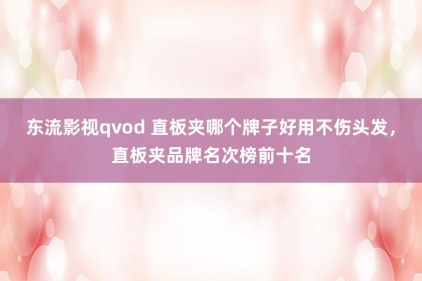 东流影视qvod 直板夹哪个牌子好用不伤头发，直板夹品牌名次榜前十名