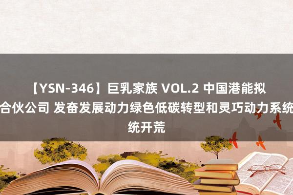 【YSN-346】巨乳家族 VOL.2 中国港能拟设立合伙公司 发奋发展动力绿色低碳转型和灵巧动力系统开荒