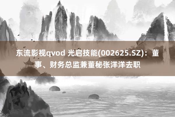 东流影视qvod 光启技能(002625.SZ)：董事、财务总监兼董秘张洋洋去职