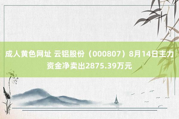 成人黄色网址 云铝股份（000807）8月14日主力资金净卖出2875.39万元