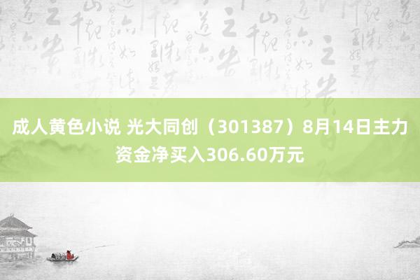 成人黄色小说 光大同创（301387）8月14日主力资金净买入306.60万元