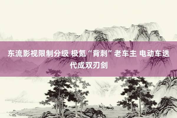 东流影视限制分级 极氪“背刺”老车主 电动车迭代成双刃剑