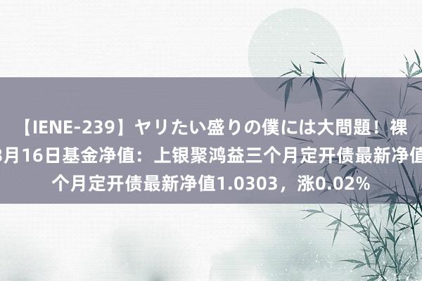 【IENE-239】ヤリたい盛りの僕には大問題！裸族ばかりの女子寮 8月16日基金净值：上银聚鸿益三个月定开债最新净值1.0303，涨0.02%