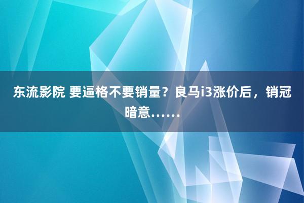 东流影院 要逼格不要销量？良马i3涨价后，销冠暗意……