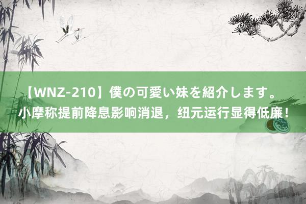 【WNZ-210】僕の可愛い妹を紹介します。 小摩称提前降息影响消退，纽元运行显得低廉！