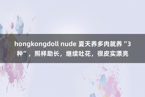 hongkongdoll nude 夏天养多肉就养“3种”，照样助长，继续吐花，很皮实漂亮