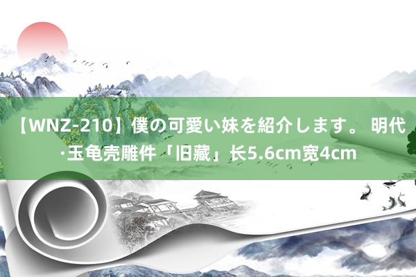 【WNZ-210】僕の可愛い妹を紹介します。 明代·玉龟壳雕件「旧藏」长5.6cm宽4cm