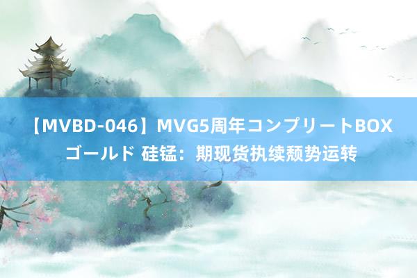 【MVBD-046】MVG5周年コンプリートBOX ゴールド 硅锰：期现货执续颓势运转