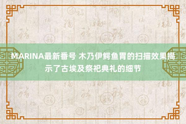 MARINA最新番号 木乃伊鳄鱼胃的扫描效果揭示了古埃及祭祀典礼的细节