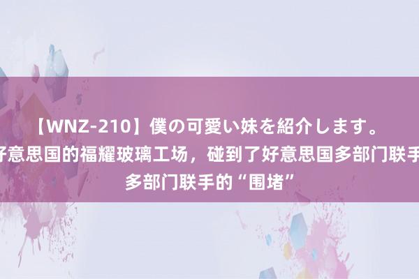 【WNZ-210】僕の可愛い妹を紹介します。 曹德旺在好意思国的福耀玻璃工场，碰到了好意思国多部门联手的“围堵”