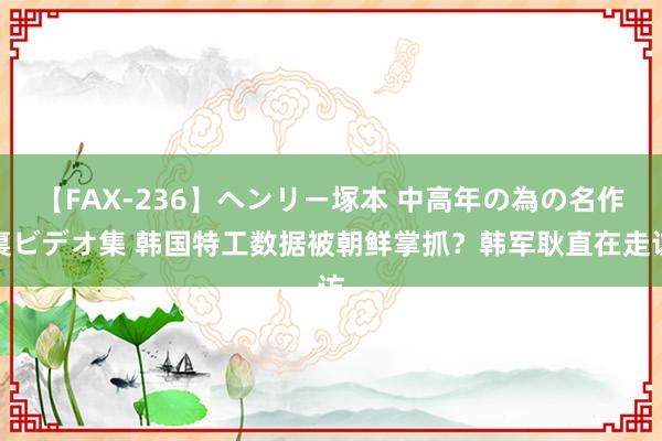 【FAX-236】ヘンリー塚本 中高年の為の名作裏ビデオ集 韩国特工数据被朝鲜掌抓？韩军耿直在走访