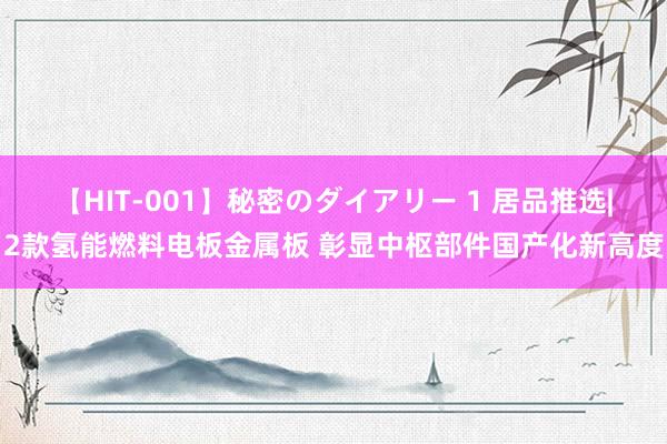 【HIT-001】秘密のダイアリー 1 居品推选|2款氢能燃料电板金属板 彰显中枢部件国产化新高度