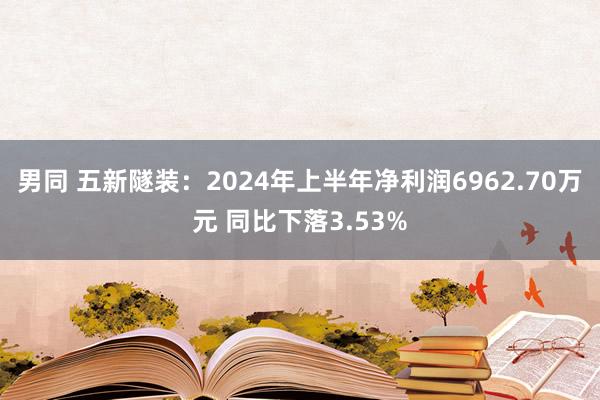 男同 五新隧装：2024年上半年净利润6962.70万元 同比下落3.53%