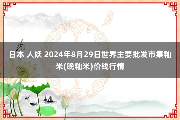 日本 人妖 2024年8月29日世界主要批发市集籼米(晚籼米)价钱行情