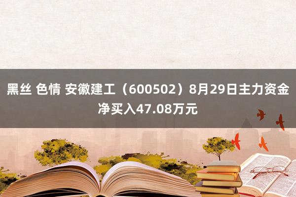 黑丝 色情 安徽建工（600502）8月29日主力资金净买入47.08万元