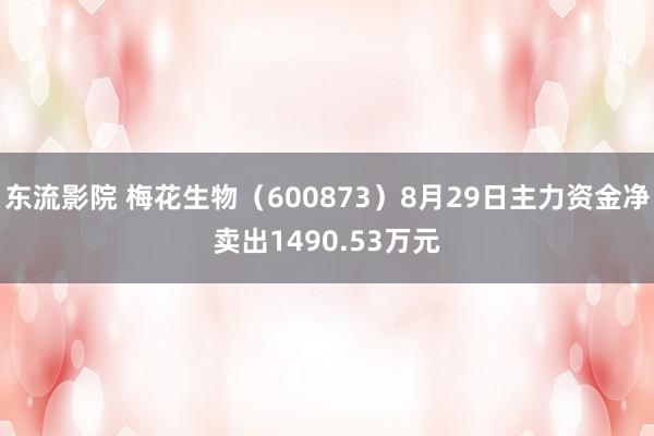 东流影院 梅花生物（600873）8月29日主力资金净卖出1490.53万元