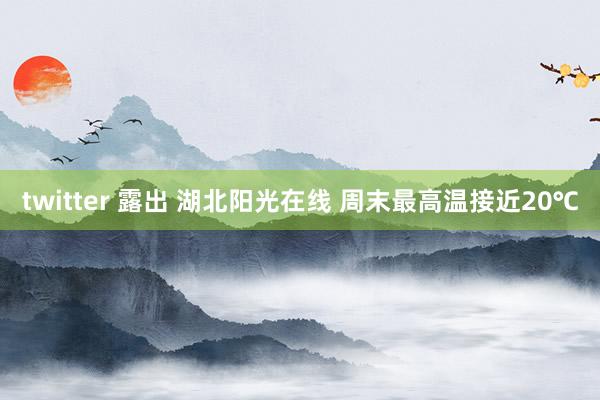 twitter 露出 湖北阳光在线 周末最高温接近20℃