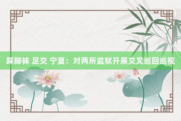 踩脚袜 足交 宁夏：对两所监狱开展交叉巡回巡视