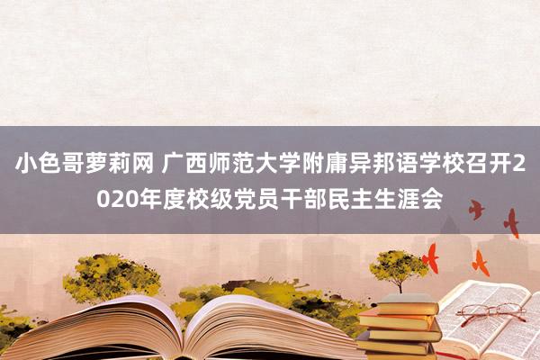 小色哥萝莉网 广西师范大学附庸异邦语学校召开2020年度校级党员干部民主生涯会