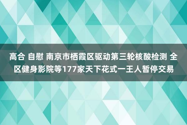 高合 自慰 南京市栖霞区驱动第三轮核酸检测 全区健身影院等177家天下花式一王人暂停交易