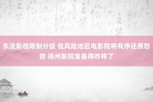 东流影视限制分级 低风险地区电影院将有序还原怒放 扬州影院准备得咋样了