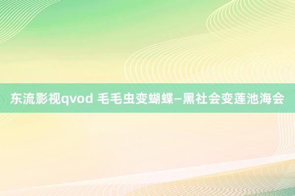 东流影视qvod 毛毛虫变蝴蝶—黑社会变莲池海会