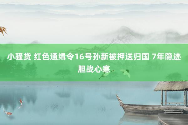 小骚货 红色通缉令16号孙新被押送归国 7年隐迹胆战心寒